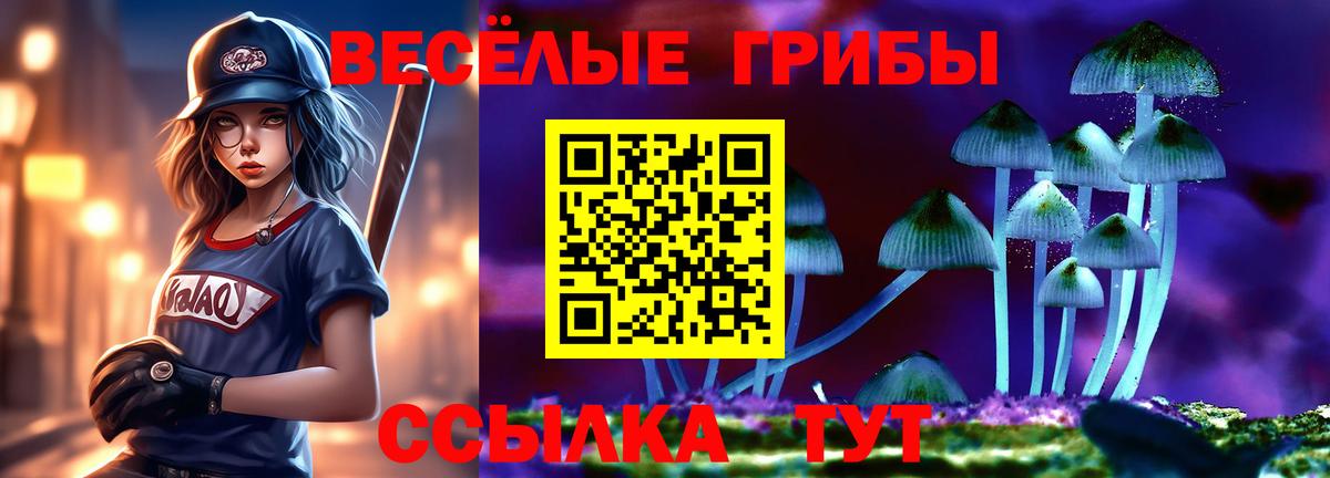 Псилоцибиновые грибы Psilocybine cubensis  Вход с VPN  Красноармейск  Псилоцибиновые грибы Psilocybe 