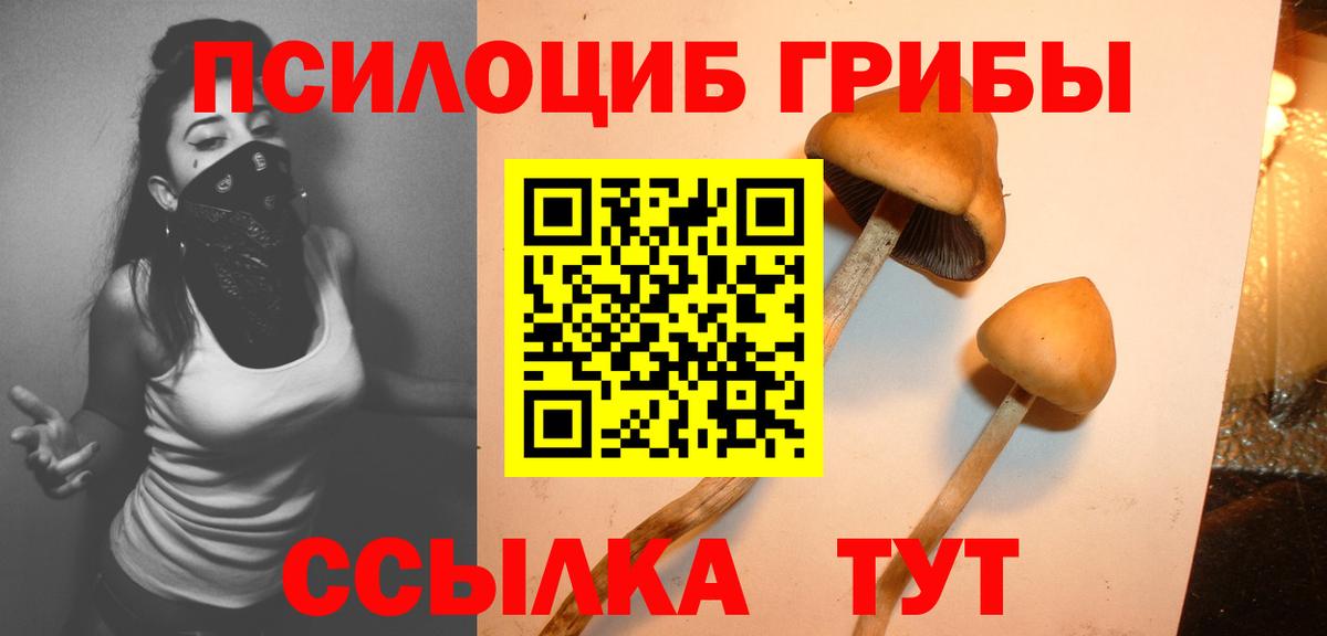 Галлюциногенные грибы прущие грибы Красноармейск
